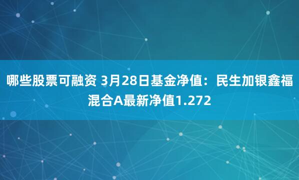 哪些股票可融资 3月28日基金净值：民生加银鑫福混合A最新净值1.272