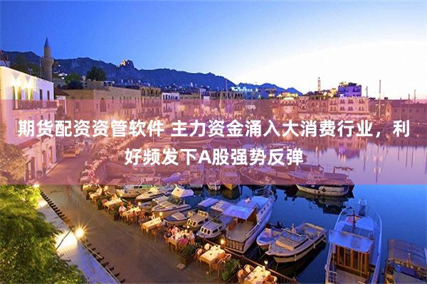 期货配资资管软件 主力资金涌入大消费行业，利好频发下A股强势反弹