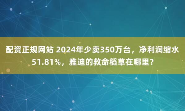 配资正规网站 2024年少卖350万台，净利润缩水51.81%，雅迪的救命稻草在哪里？