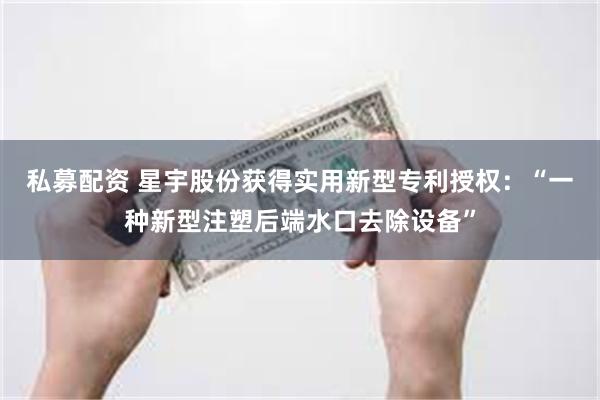 私募配资 星宇股份获得实用新型专利授权：“一种新型注塑后端水口去除设备”