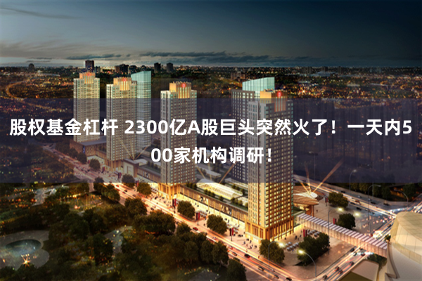股权基金杠杆 2300亿A股巨头突然火了！一天内500家机构调研！