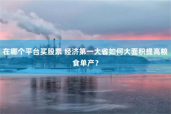 在哪个平台买股票 经济第一大省如何大面积提高粮食单产？