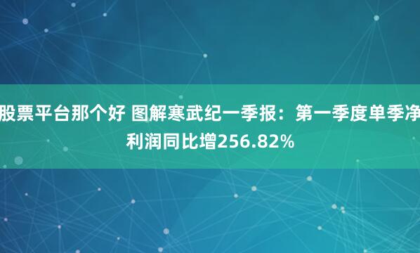 股票平台那个好 图解寒武纪一季报：第一季度单季净利润同比增256.82%