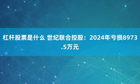 杠杆股票是什么 世纪联合控股：2024年亏损8973.5万元