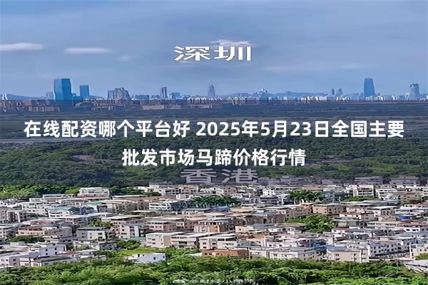 在线配资哪个平台好 2025年5月23日全国主要批发市场马蹄价格行情