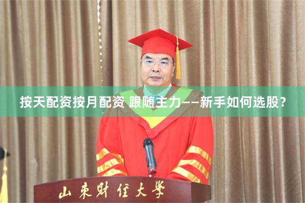 按天配资按月配资 跟随主力——新手如何选股？