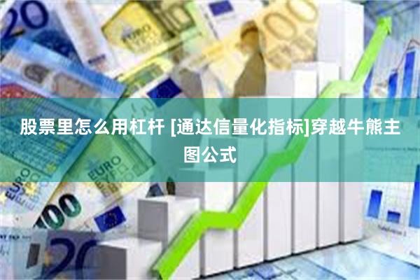 股票里怎么用杠杆 [通达信量化指标]穿越牛熊主图公式