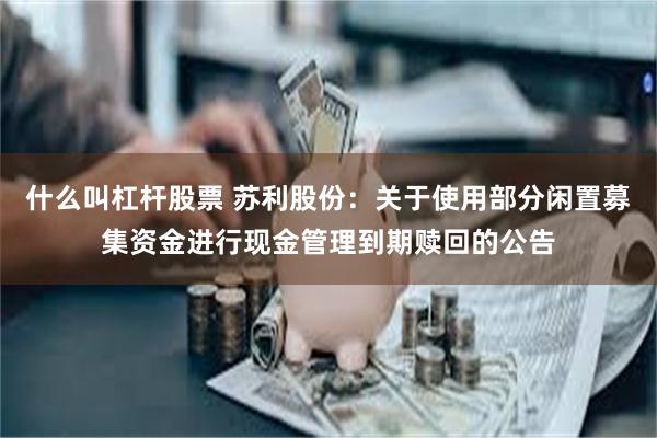 什么叫杠杆股票 苏利股份：关于使用部分闲置募集资金进行现金管理到期赎回的公告