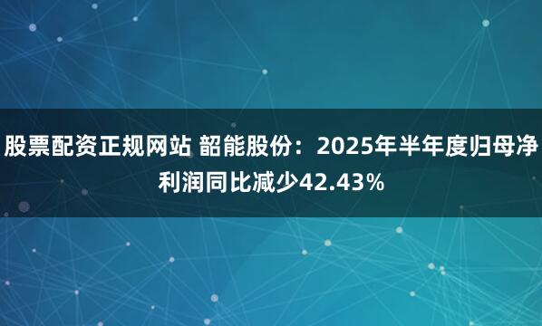 股票配资正规网站 韶能股份：2025年半年度归母净利润同比减少42.43%
