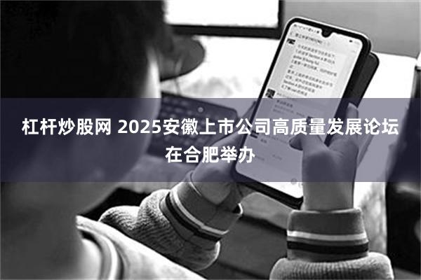 杠杆炒股网 2025安徽上市公司高质量发展论坛在合肥举办